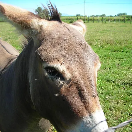 La Bardeliere Bauernhof *