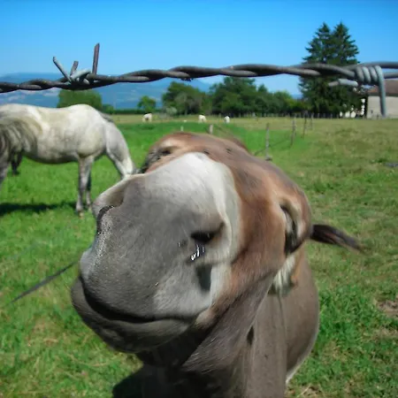 La Bardeliere Farm stay Corbelin
