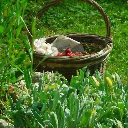 La Bardeliere Vakantieboerderij *