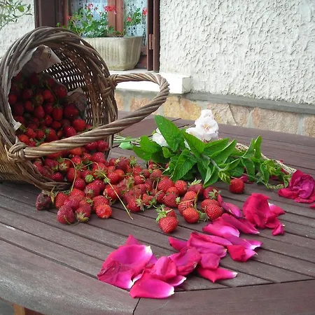 Çiftlik konaklama La Bardeliere