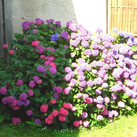 La Bardeliere Farm stay *