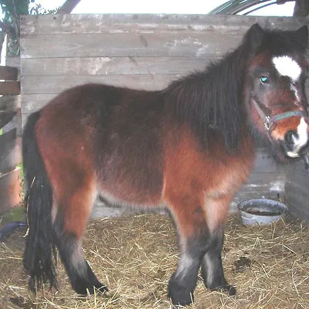La Bardelière Corbelin