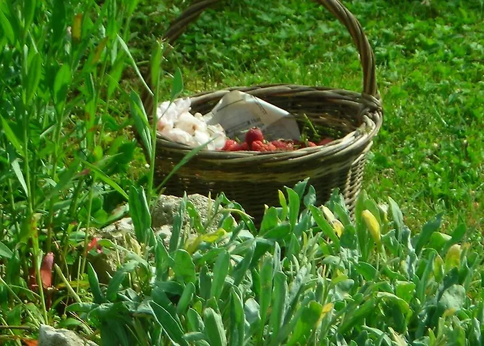 La Bardeliere Bauernhof *