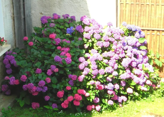 La Bardeliere Farma *